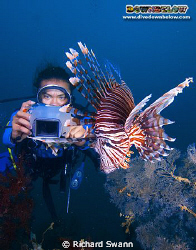 Bob reviews his shot of the Lionfish, TAR Park Sabah Mala... by Richard Swann 